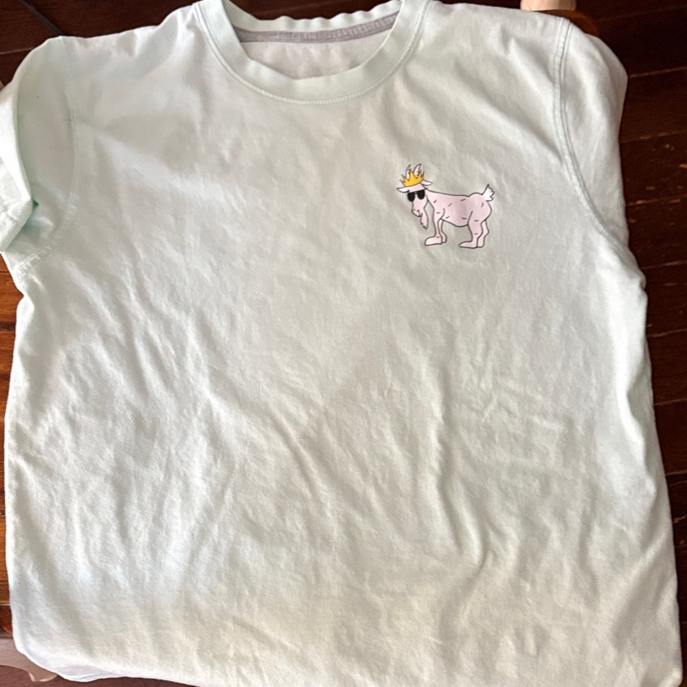 Kids Light Mint GOAT tshirt